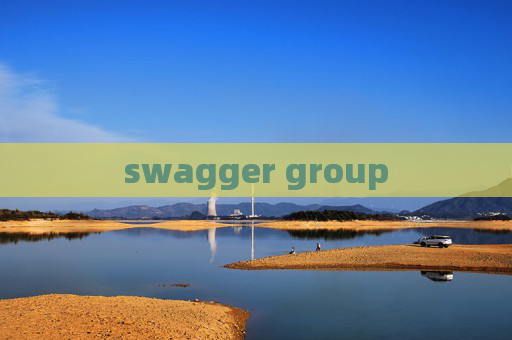 swagger group swagger group